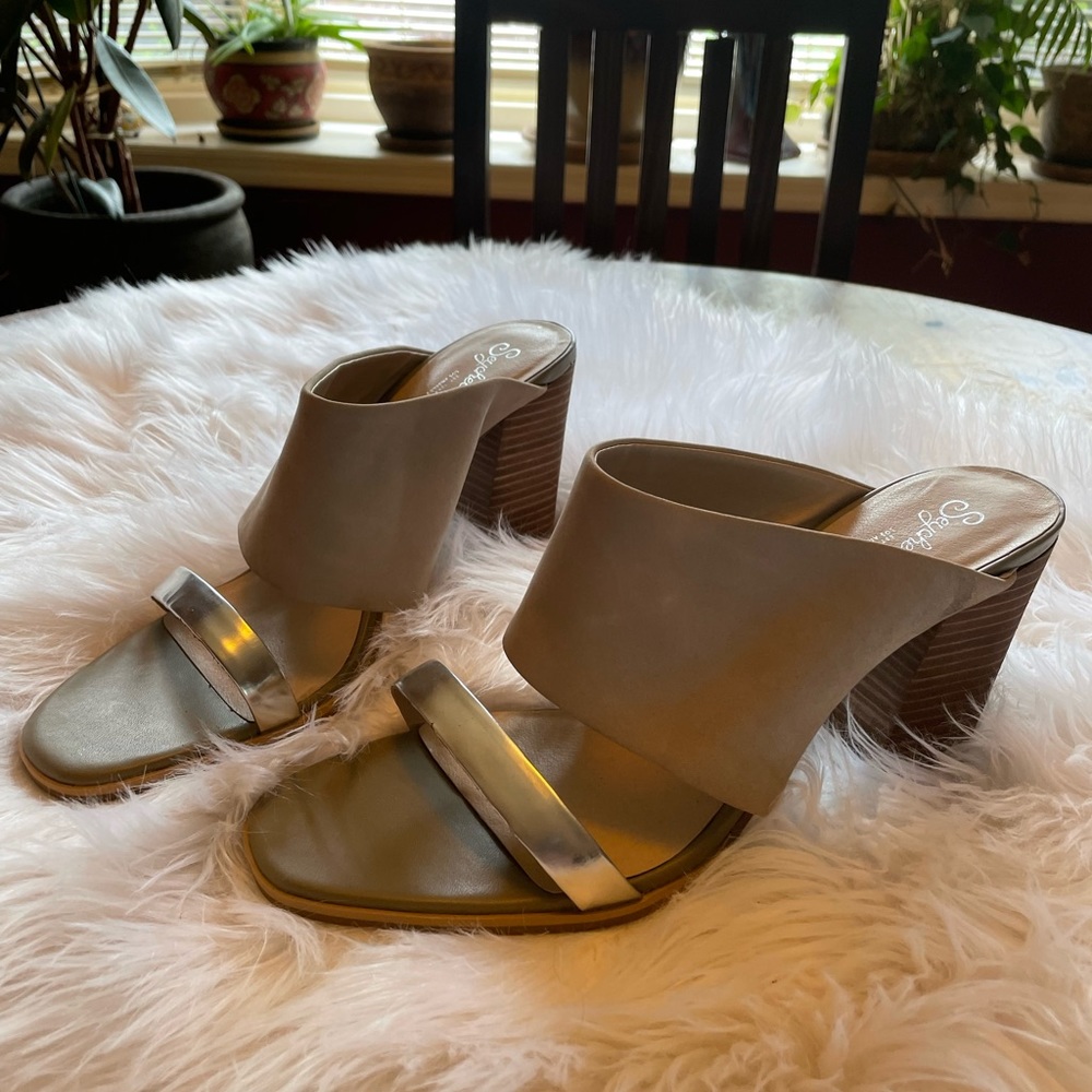 Seychelles Block Heel Sandals